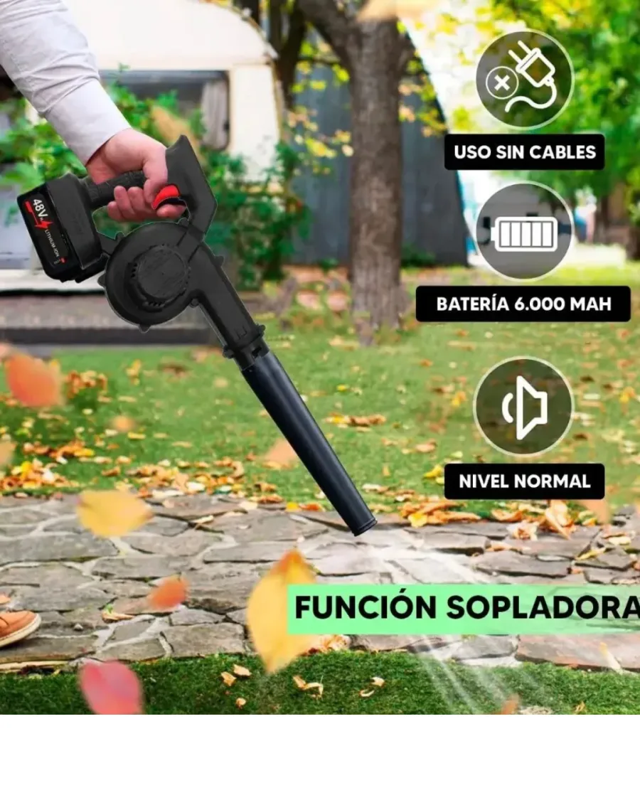 SOPLADORA 1